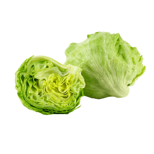 Iceberg Lettuce